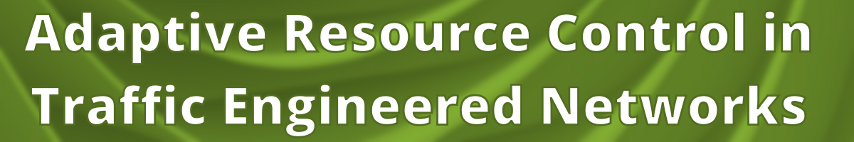 Adaptive Resource Control in TE Networks